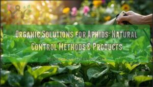 organic solutions for aphids