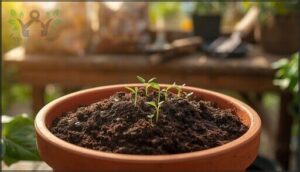 peat-based mixes peat-based mixes