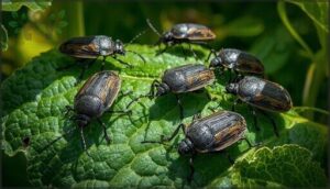 physical characteristics of squash bugs physical characteristics of squash bugs