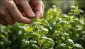 pinching and thinning for bushier growth