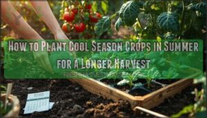 planting cool season crops in summer planting cool season crops in summer