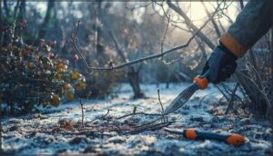 plants to prune during winter dormancy