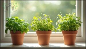 preventing watering mistakes preventing watering mistakes