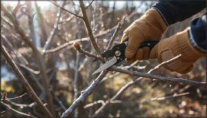 prune trees and shrubs before budbreak
