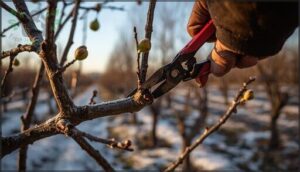 pruning and timing for winter hardiness