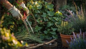 pruning vines, perennials, and herbs
