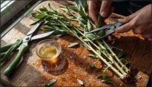 removing lower leaves and prepping stems removing lower leaves and prepping stems