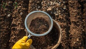 removing rocks and debris removing rocks and debris