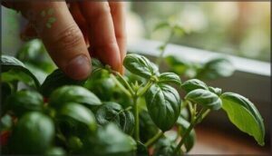 removing tips to encourage branching