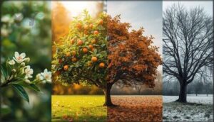 seasonal fertilization guide seasonal fertilization guide