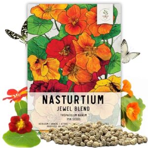Seed Needs Nasturtium Seeds Jewel B004GQTRL2