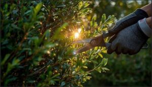 shaping and thinning techniques