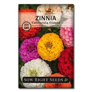 Sow Right Seeds California B07MSLD73W