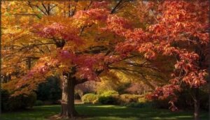 sweetgum and serviceberry