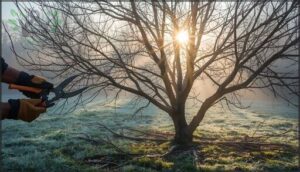 thinning and shaping for balanced growth