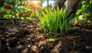 using coffee grounds and grass clippings effectively using coffee grounds and grass clippings effectively