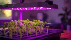 using grow lights and ensuring adequate light