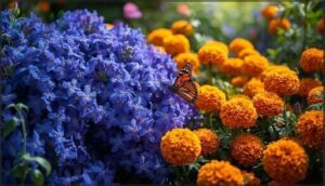 vibrant blue and orange contrasts