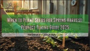 when to plant seeds for spring harvest