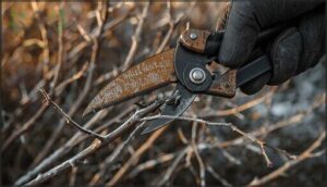 anvil pruners for dead wood anvil pruners for dead wood