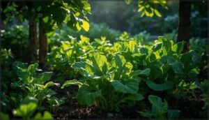 arugula and bok choy in low light arugula and bok choy in low light