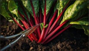 avoiding damage to growing centers avoiding damage to growing centers