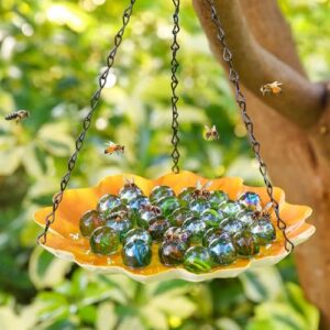 Bee Watering Station with Vivid B0D4LRV744