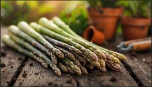 best asparagus varieties for spring