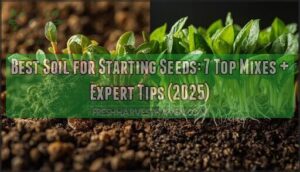 best soil for starting seeds best soil for starting seeds