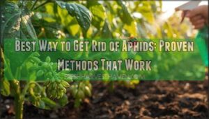best way to get rid aphids best way to get rid aphids