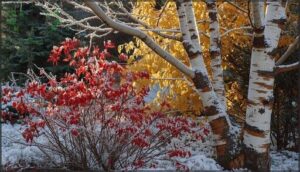 colorful stem and bark plants colorful stem and bark plants