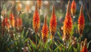 coppertips: striking red, orange, and yellow coppertips: striking red, orange, and yellow