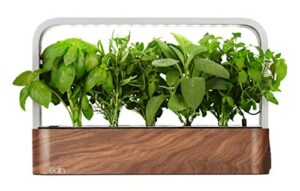 EDN SmallGarden with Basil SeedPods, B08X1CMLND