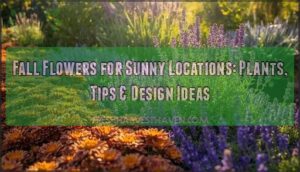 fall flowers for sunny locations fall flowers for sunny locations