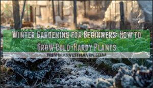 gardening in winter for beginners gardening in winter for beginners