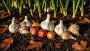 garlic and onions: fall’s essential alliums garlic and onions: fall’s essential alliums