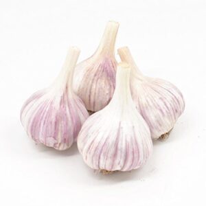 Gourmet Chesnok Red Garlic Bulbs B013XTCWS2