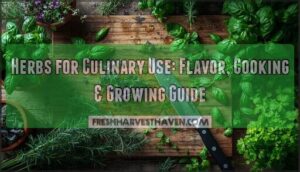 herbs for culinary use herbs for culinary use