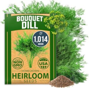 HOME GROWN Non GMO Dill B0D47GXP5B