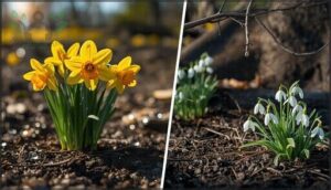 ideal growing conditions for early flowers ideal growing conditions for early flowers