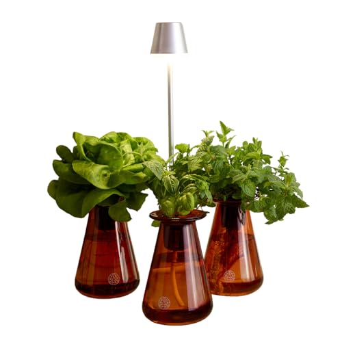 Lettuce Grow Counterstand Set –