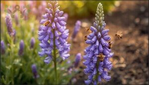 lily of the nile: pollinator magnet lily of the nile: pollinator magnet