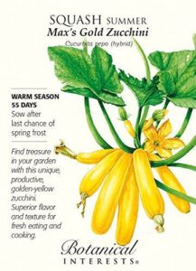 Max's Gold Zucchini Summer Squash B008YEOO4C