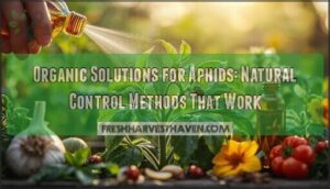 organic solutions for aphids organic solutions for aphids