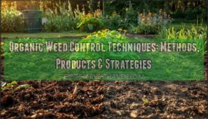 organic weed control techniques organic weed control techniques
