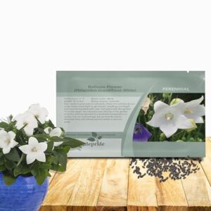 Outsidepride White Balloon Flower Seeds B004HJGHCU