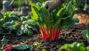 promoting continued growth after harvest promoting continued growth after harvest