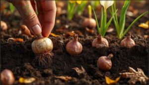 proper orientation of bulbs proper orientation of bulbs