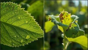 recognizing pest damage patterns recognizing pest damage patterns