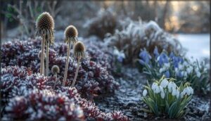 selecting perennials and bulbs for winter interest selecting perennials and bulbs for winter interest